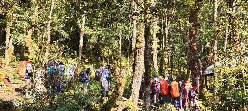 Misteri Terpecahkan: Jasad Pendaki Bogor Ditemukan di Kedalaman 80 Meter di Gunung Binaiya
