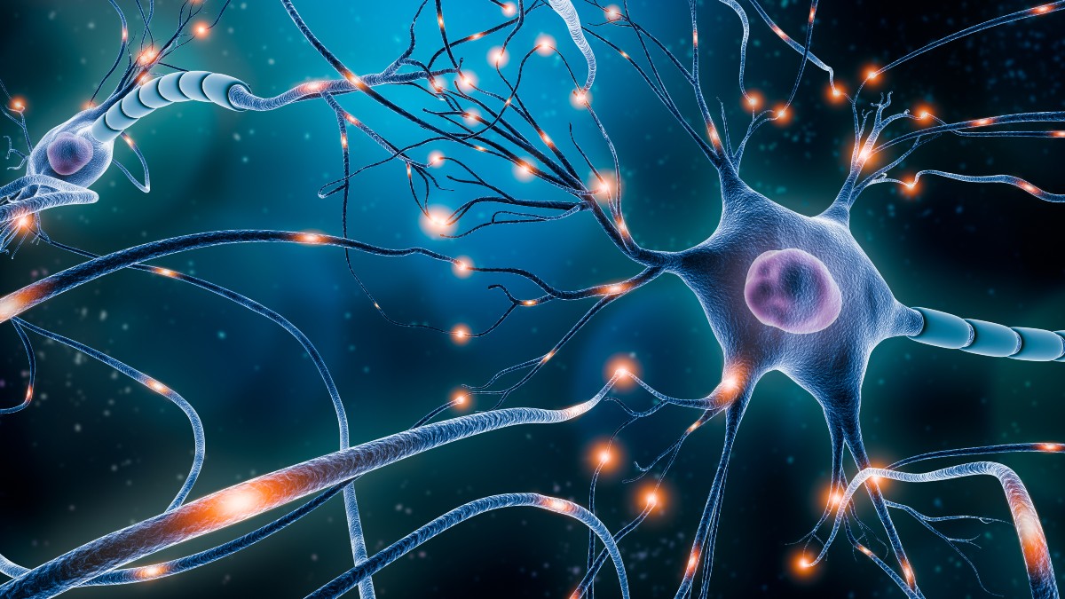 10 Kebiasaan Sehat untuk Menjaga Sistem Saraf Tetap Optimal